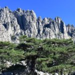 bavella-article