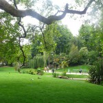 jardin